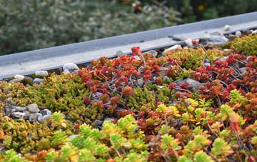 the cost of Llanelwedd green roof installation
