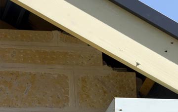 soffit repair Llanelwedd